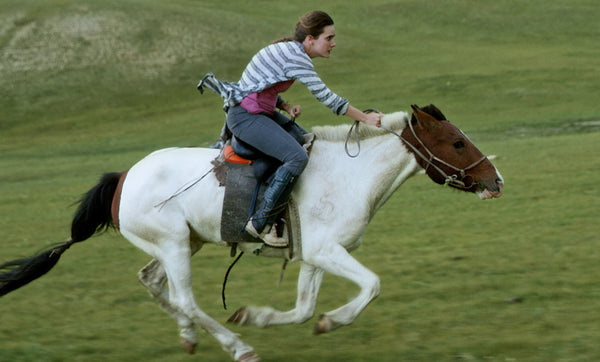 The MOVIE Collection